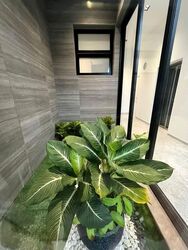 Sembawang Straits Estate (D27), Terrace #576499341